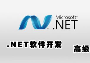 長(zhǎng)春Java開(kāi)發(fā)培訓(xùn)班 通往軟件開(kāi)發(fā)職業(yè)之路的堅(jiān)實(shí)起點(diǎn)