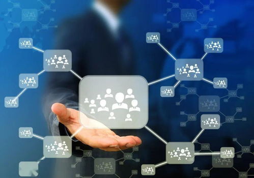 人口流失與技術(shù)變革 30萬臨時(shí)居民撤離與人工智能應(yīng)用軟件開發(fā)的交織影響