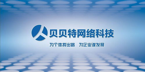 北京貝貝特網(wǎng)絡科技 網(wǎng)絡技術(shù)推廣的領航者